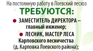Лоевский лесхоз приглашает на работу