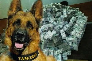 Гомельская таможня выполнила задание девяти месяцев