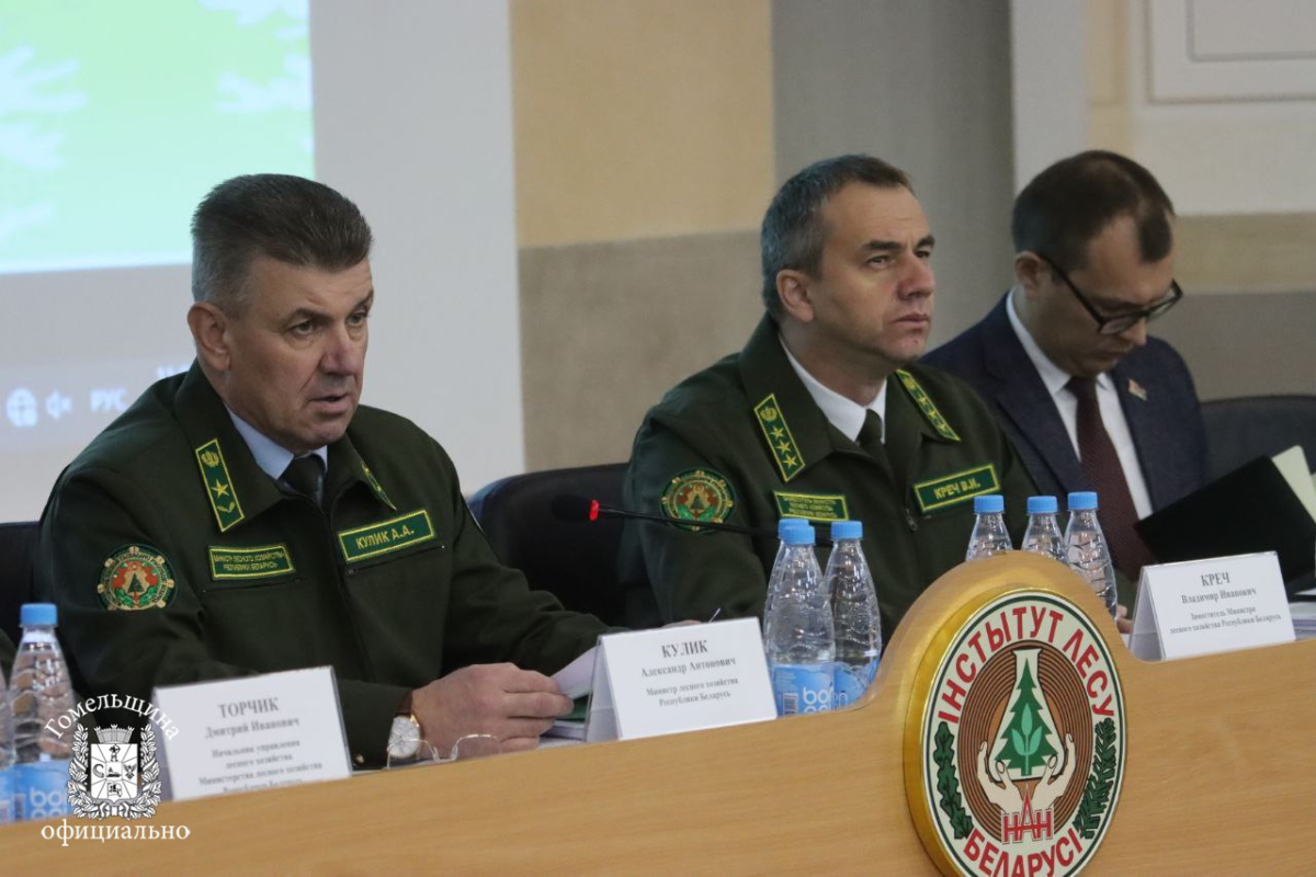 9e38efb0-29e6-4e38-8348-9c5ac620baaf.jpg