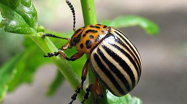 000022_0CAE57D1C86BEE91432580B20050B6BD_93192.jpg