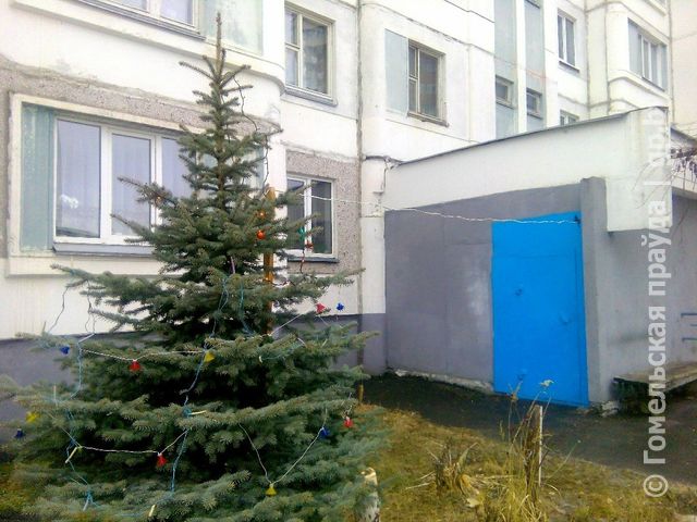 елка