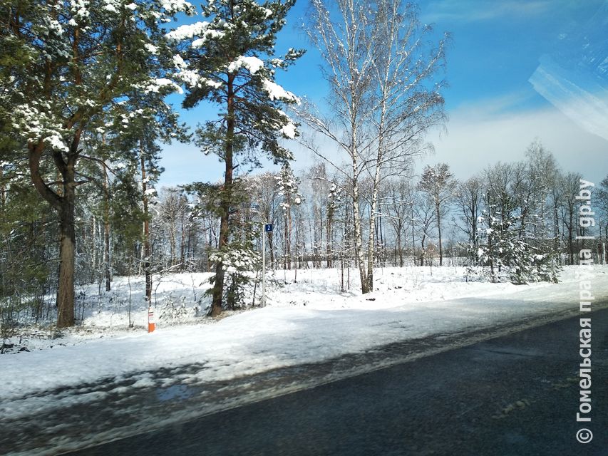 IMG_20190327_101505.jpg