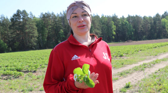 Ferm-540x300.jpg Ferm-540x300.jpg