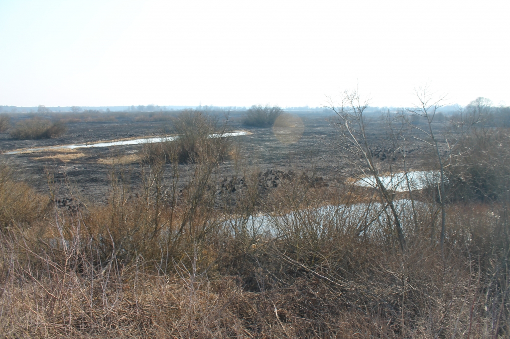 23_03 4 пожара травы3.JPG