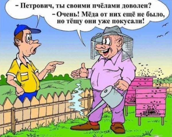 теща.jpg