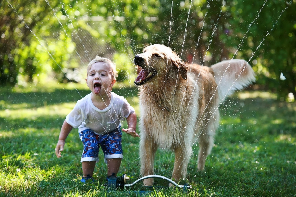 Kids-and-Pets-Friendship.jpg Kids-and-Pets-Friendship.jpg