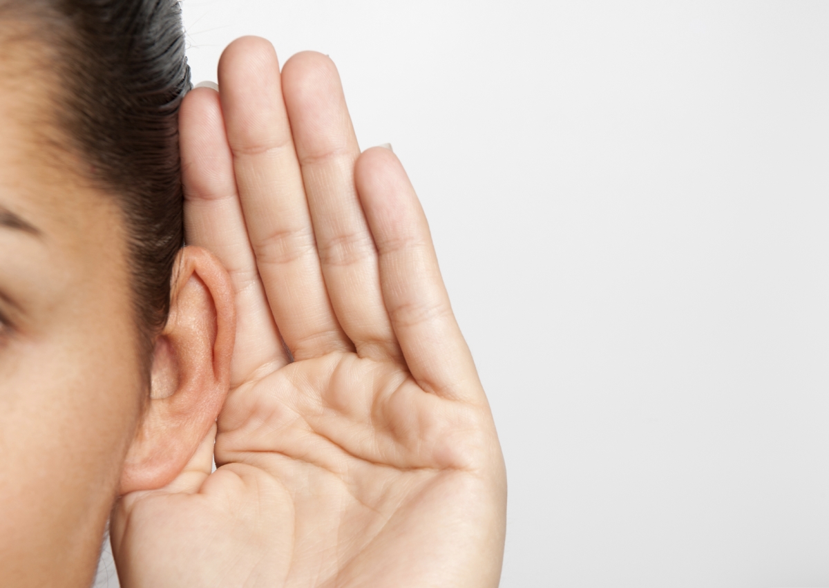 iStock_000013278458_Large.jpg