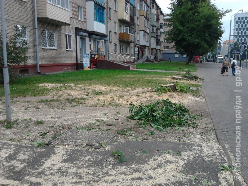 2015-07-27 14.28.48.jpg