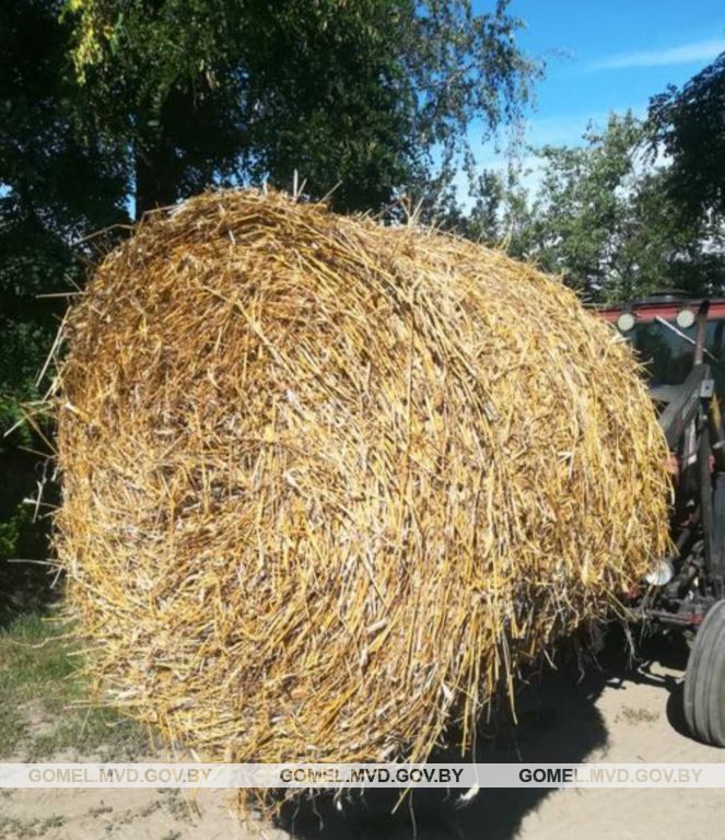 Житковичи АПК 1.jpg Житковичи АПК 1.jpg