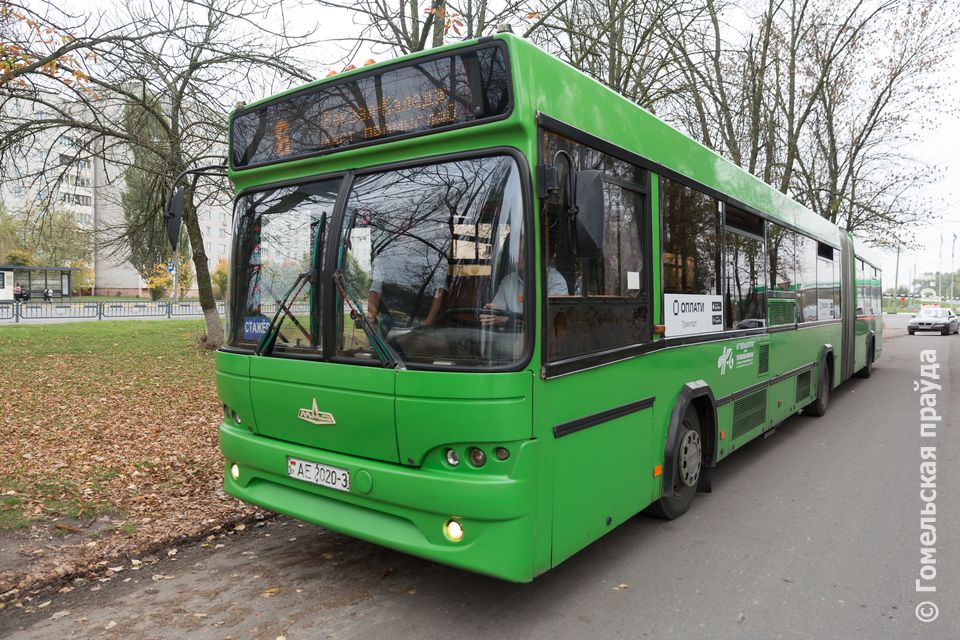 автобус маршруты гомель.jpg