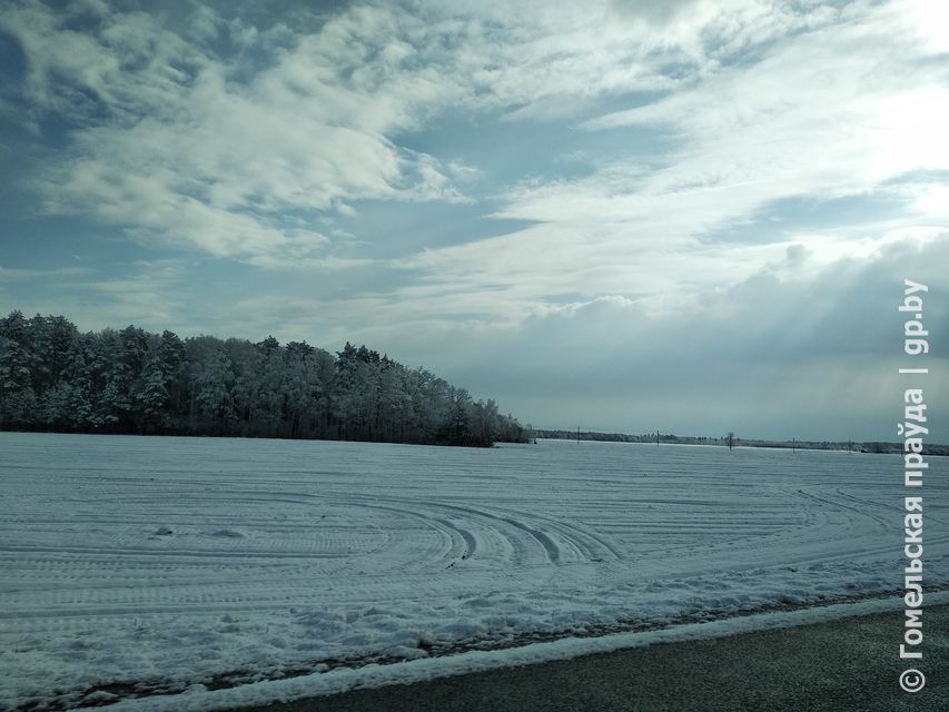 IMG_20190327_094043_1.jpg