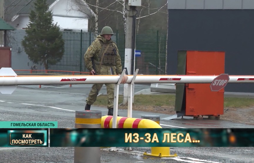FpgQfmJoJeFgzjki.jpg