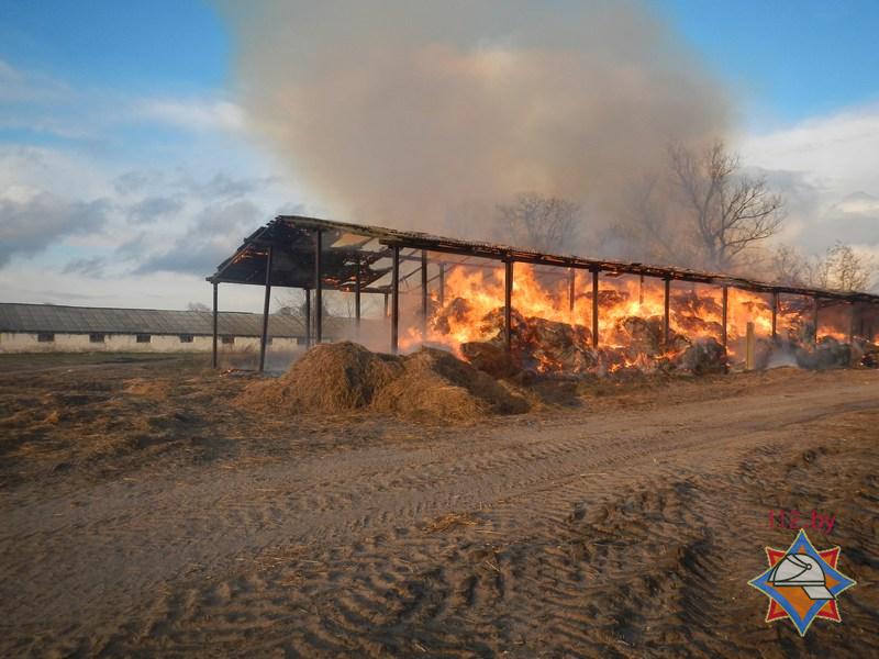 пожар на сенохранилище в Движках.jpg
