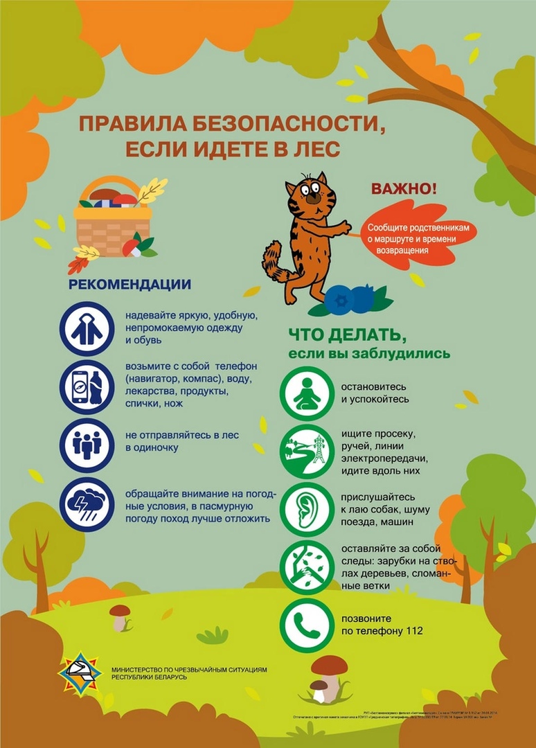 Лес.jpg