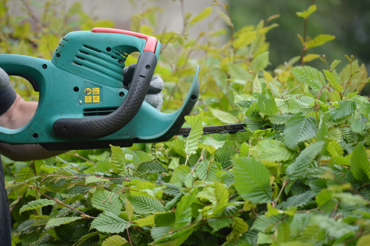 hedge-trimmer-7268400_1280.jpg
