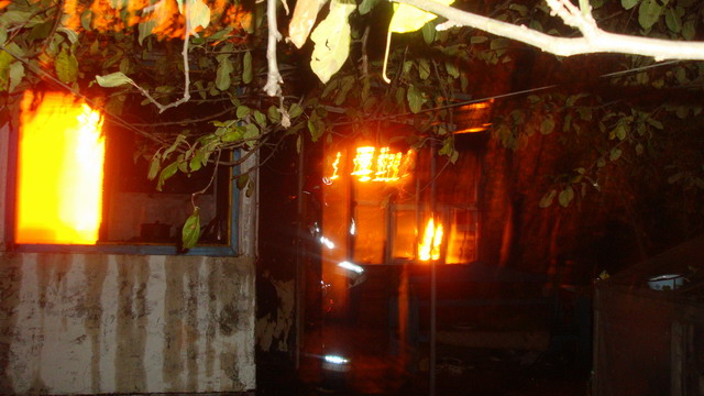 DSC07176.jpg