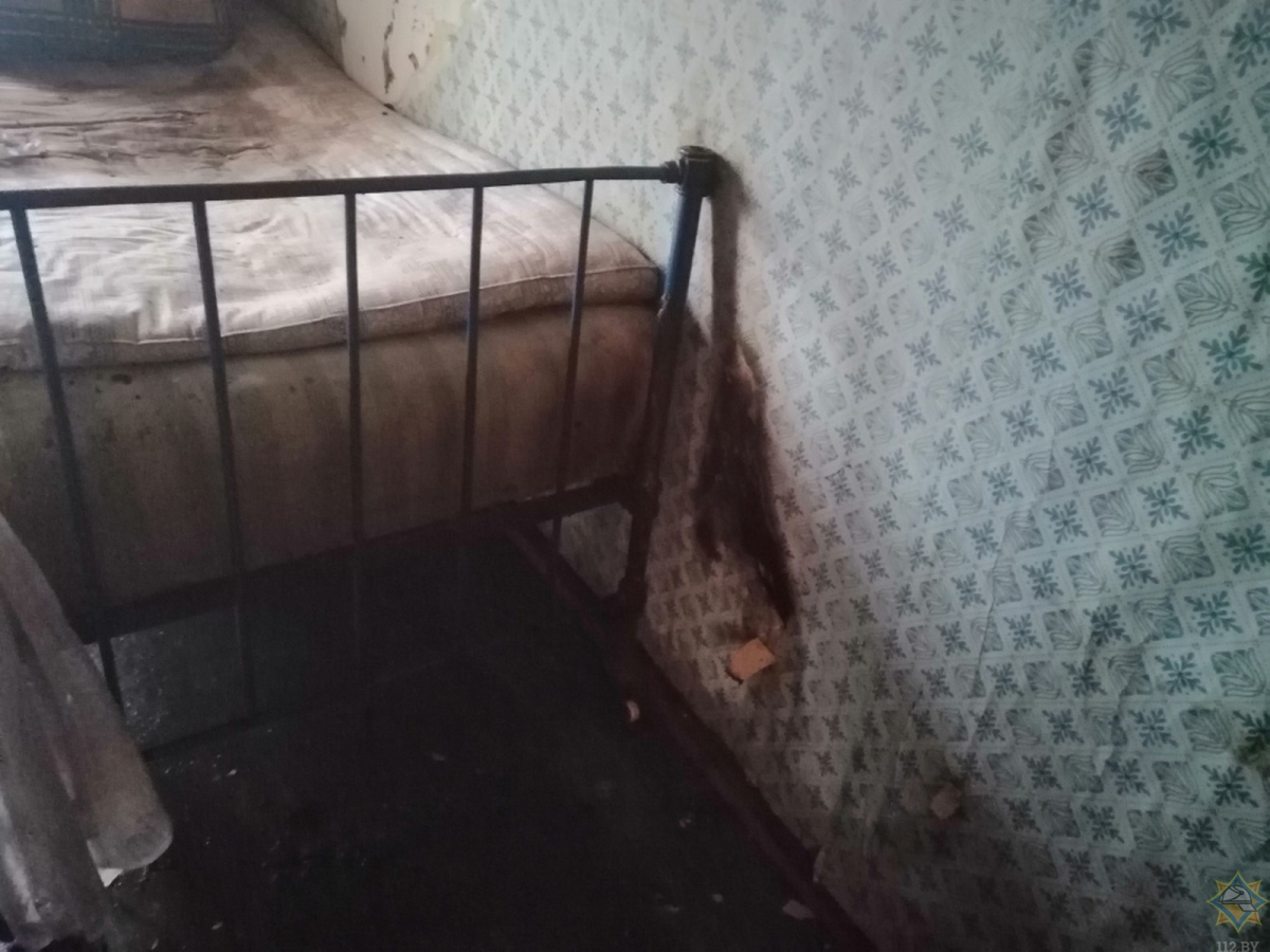 foto-2.jpg foto-2.jpg