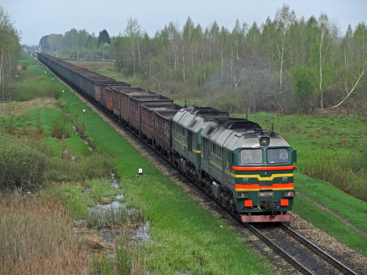 79603823.jpg
