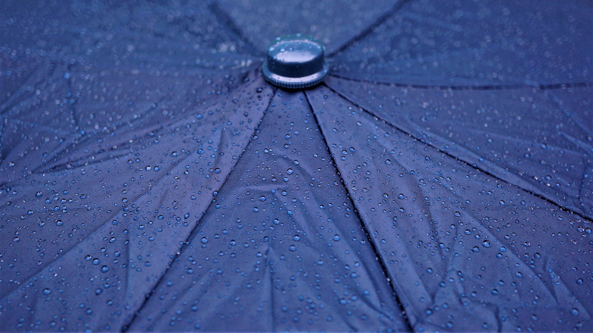 mylene2401-rain-4407296.jpg