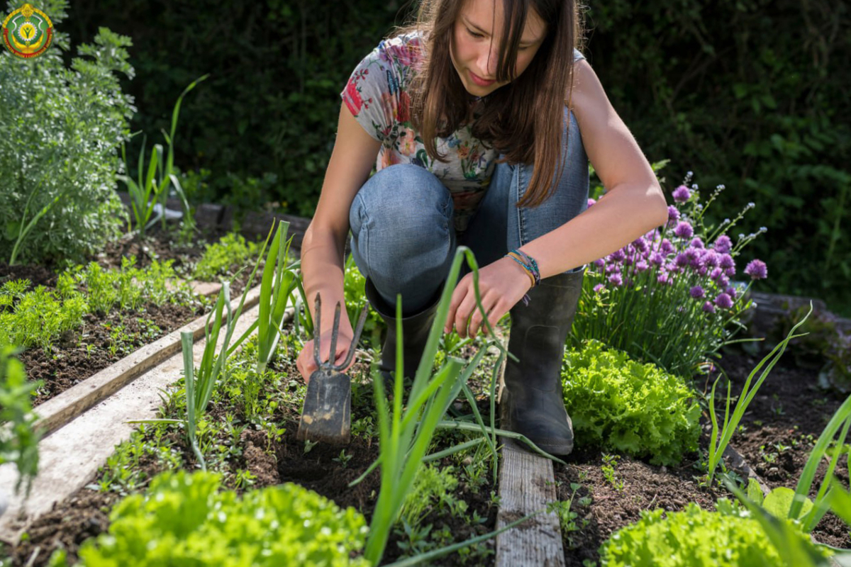 455.jpg 455.jpg