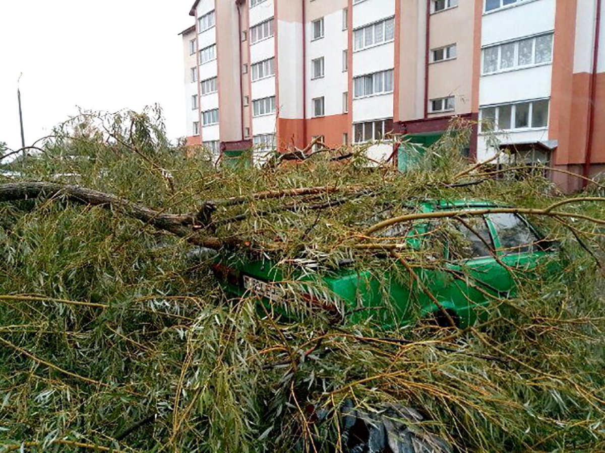 17065_26.jpg