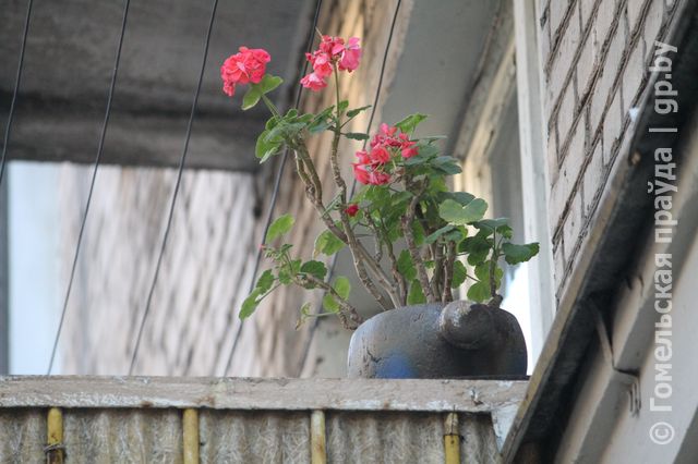 IMG_9493.JPG