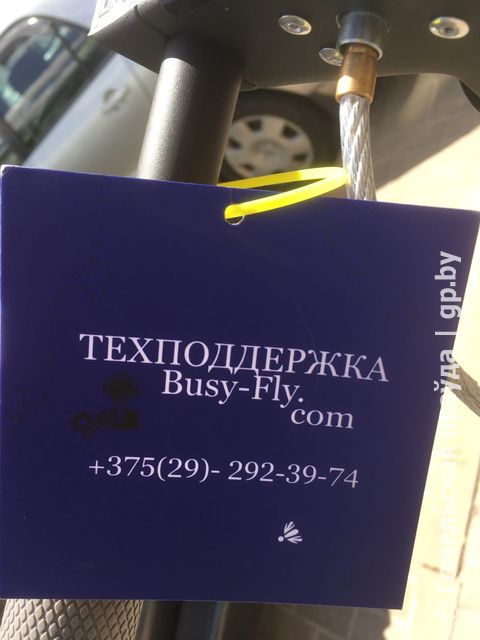 Кикшеринг в Гомеле