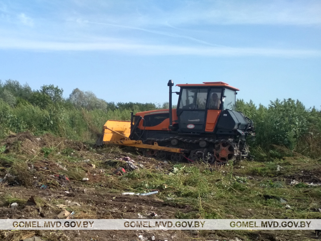 В Лоеве уничтожена плантация конопли