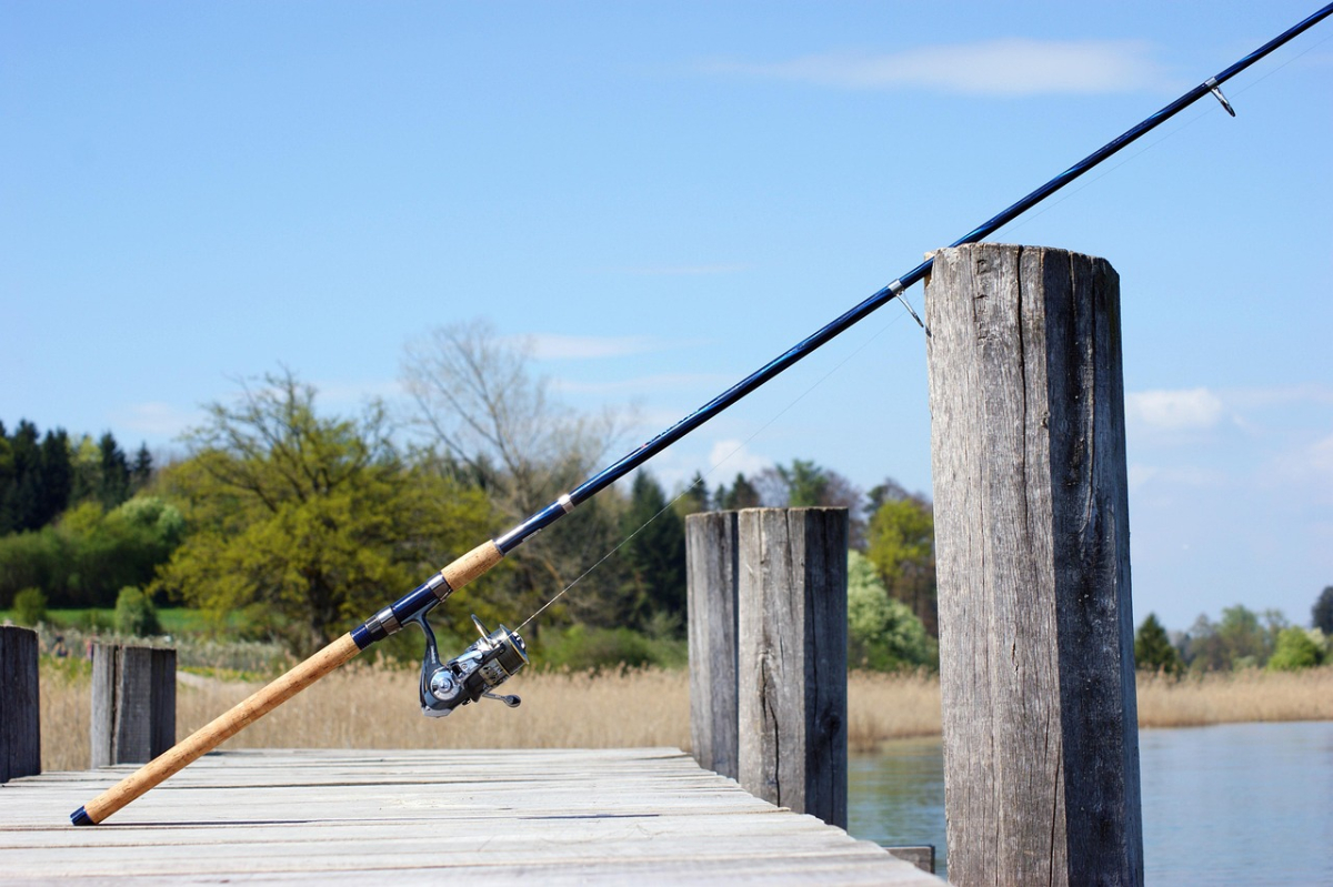 fishing-rod-326843_1280.jpg