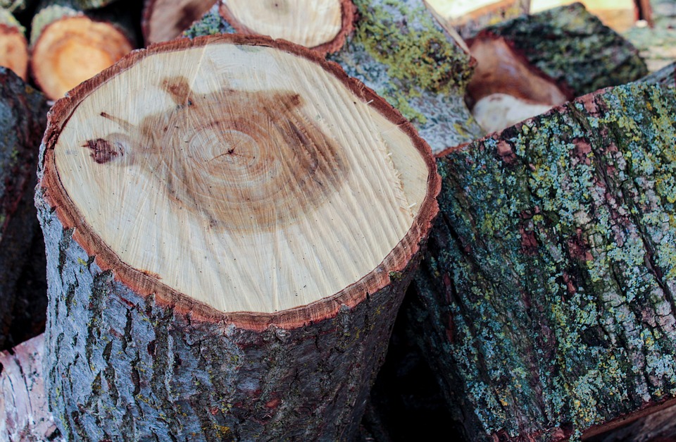 wood-4700903_960_720.jpg