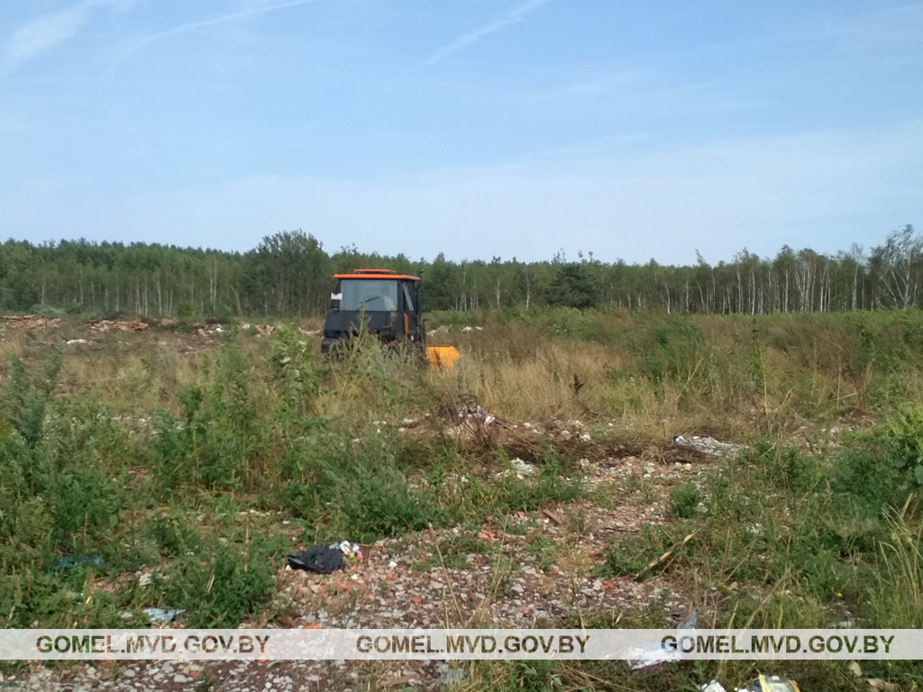 В Лоеве уничтожена плантация конопли В Лоеве уничтожена плантация конопли