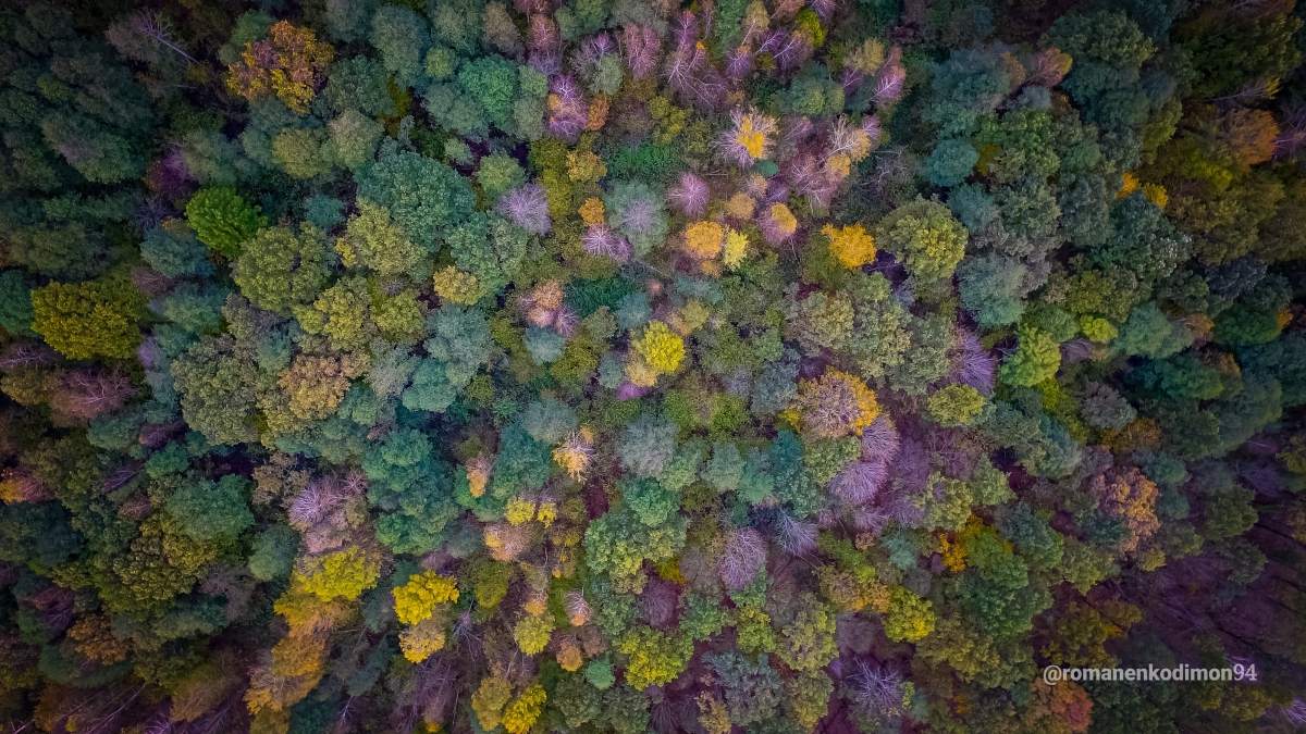 DJI_0007-min.jpg