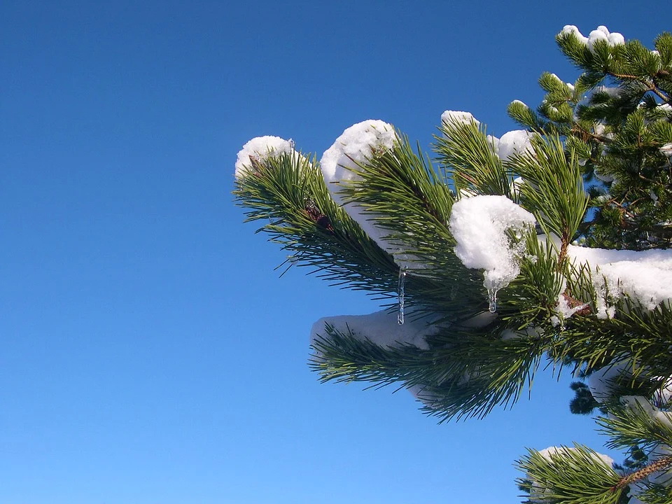 оттепель snow-1243825_960_720.jpg