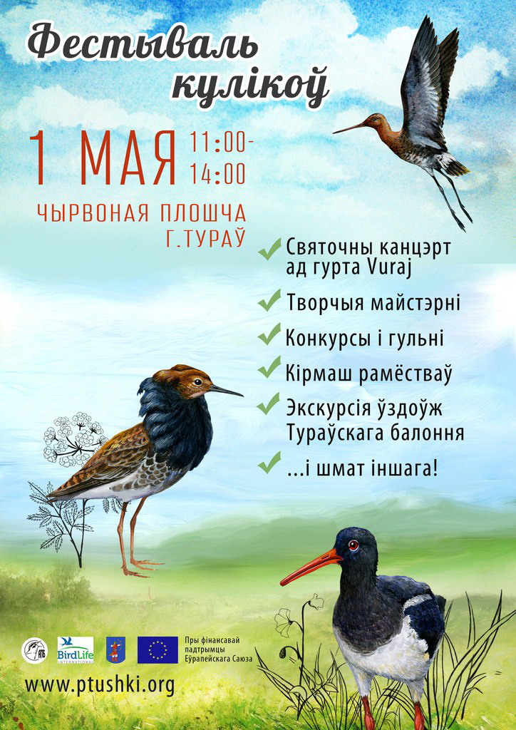 Афиша_фестиваль куликов_Туров_01 05 2014.jpg