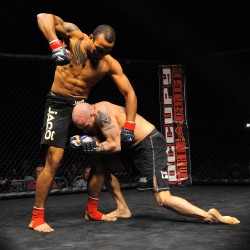 gp.by_mma.express.jpg gp.by_mma.express.jpg