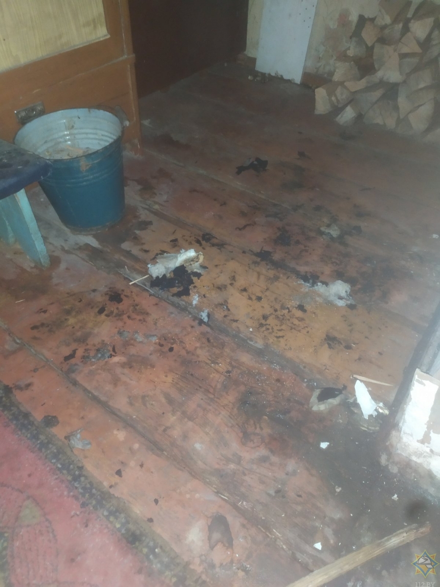 В Гомельском районе пенсионерка чуть не погибла из-за неправильной эксплуатации печи 3.jpg
