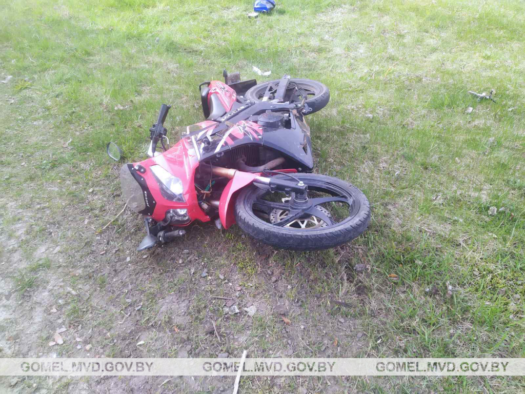 IMG-3a9663d1f86248889ea49c25cc2a058d-V.jpg