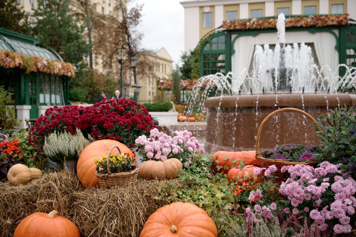 05-10-24_Золотая_Осень_0072.jpg