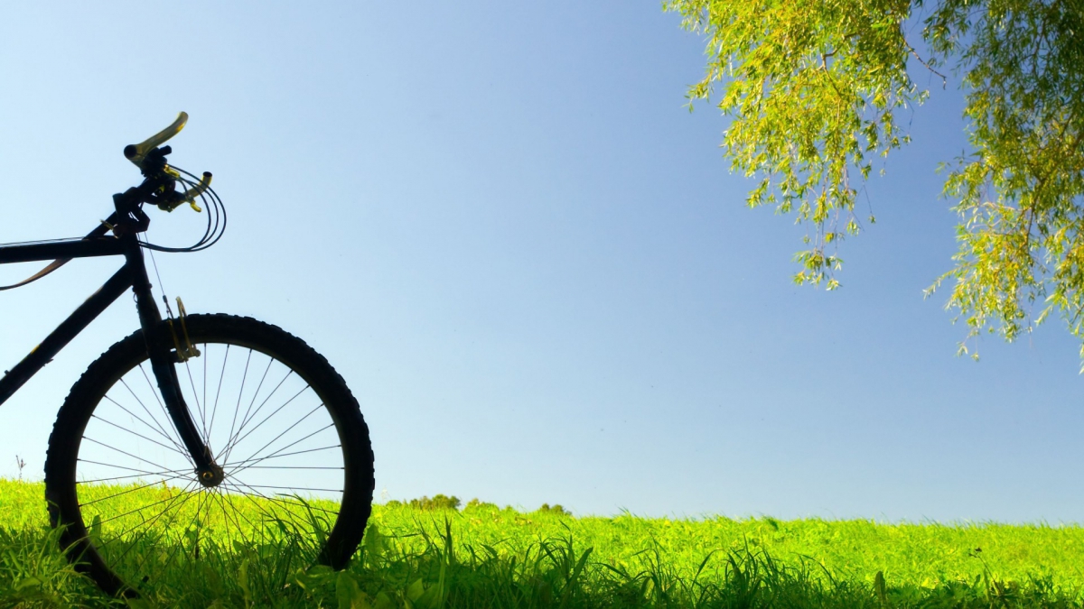 Creative_Wallpaper_Bicycling_in_the_field_082335_.jpg