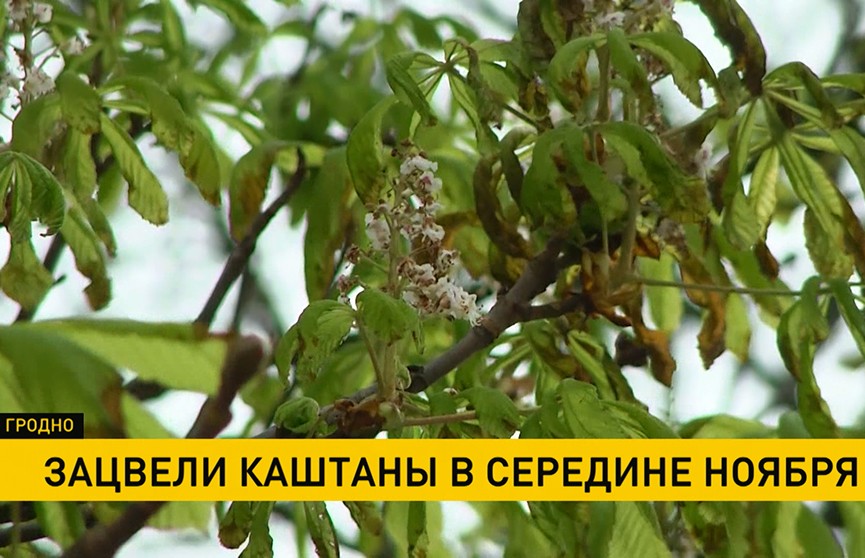 fdDF6lAYTenYetNs.jpg