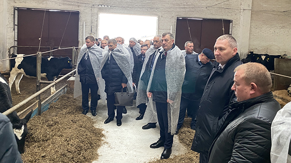 koleg6.jpg koleg6.jpg