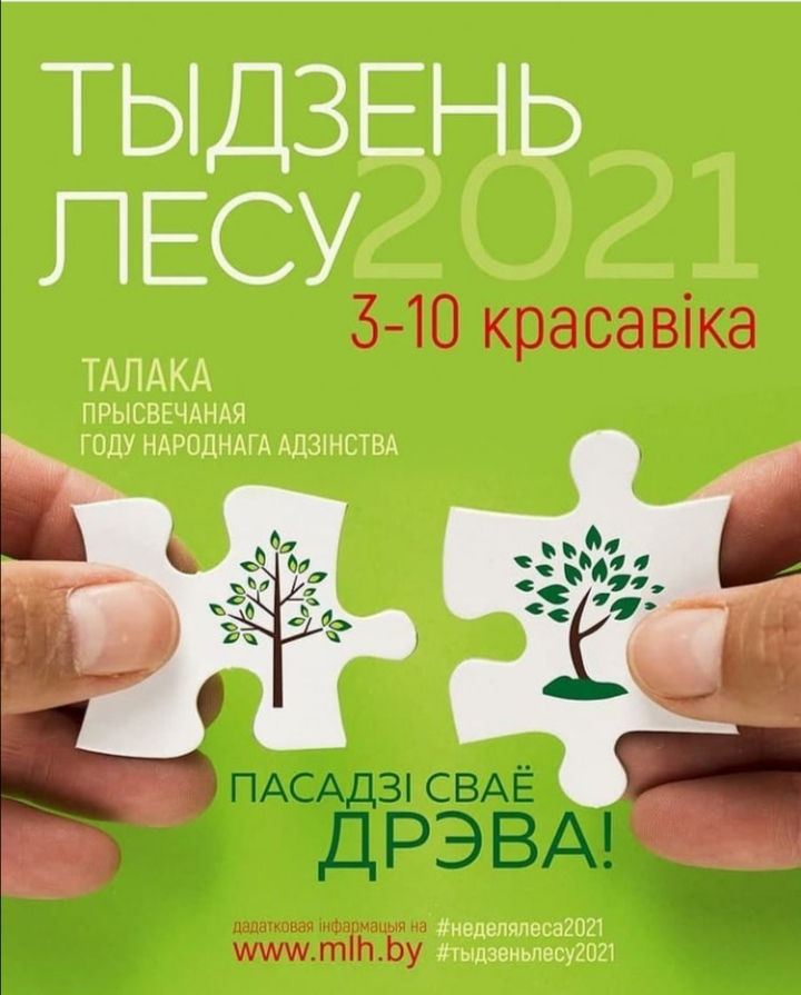 неделя леса.jpg