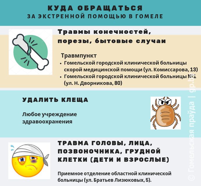 a2f92bc7745a553bfecac6bde4ee3a13 (1).jpg