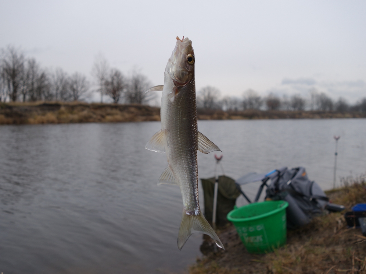 DSC01496.JPG