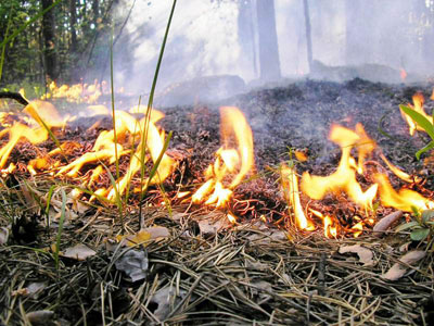 fire2.jpg