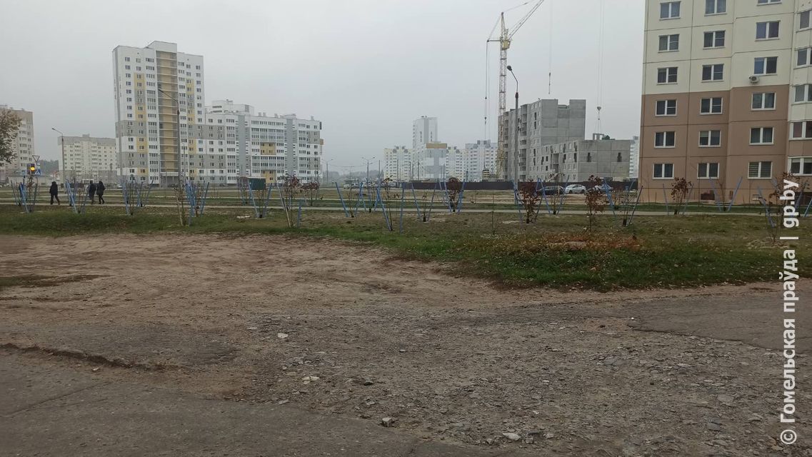 Что будет с ремонтом дороги в районе улиц Жемчужной и Кристалловской в Гомеле? 