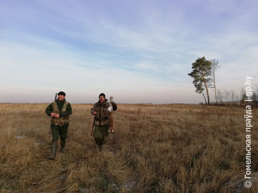 дек1.jpg