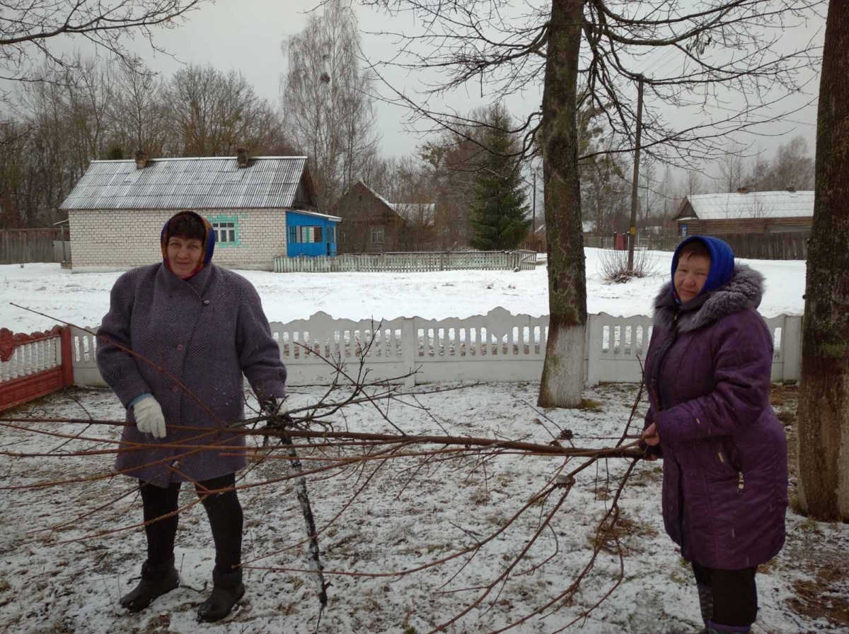 изображение_viber_2021-03-17_10-01-57.jpg