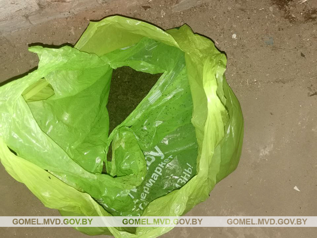 Защебье_марихуана_масло_2.jpg Защебье_марихуана_масло_2.jpg