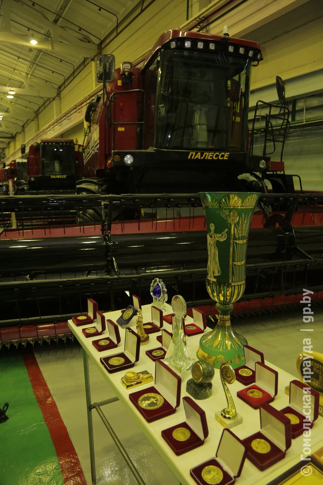 4E6A8506.JPG